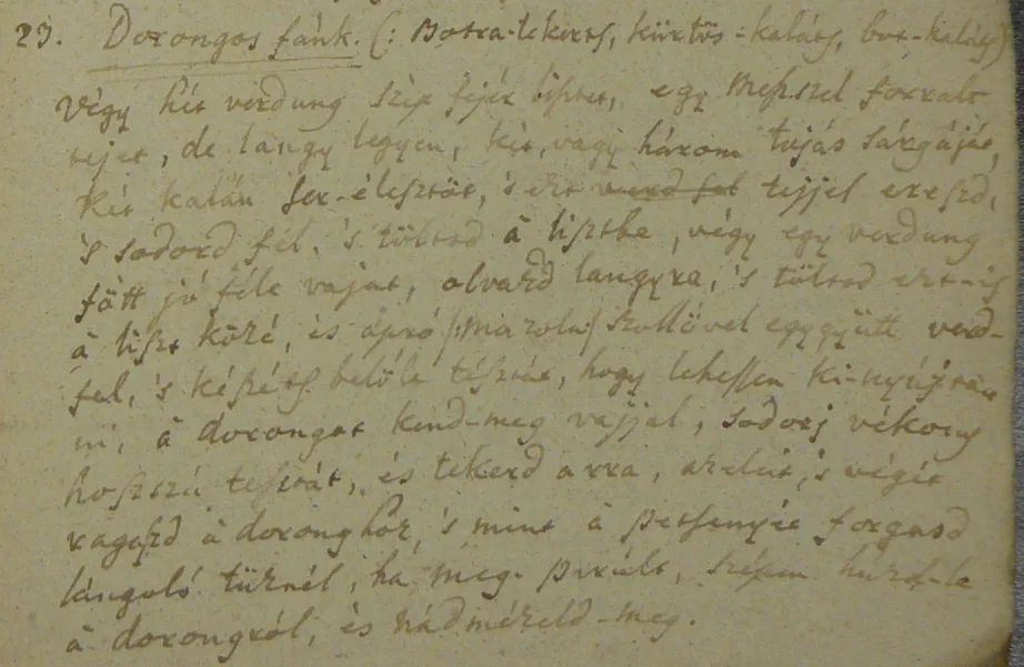 The origin and family of Kürtősh Kalách