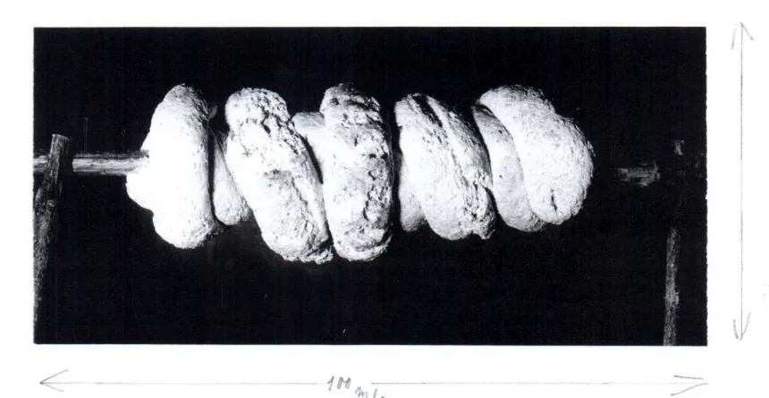 The origin and family of Kürtősh Kalách