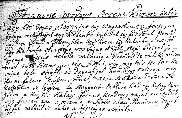 The origin and family of Kürtősh Kalách