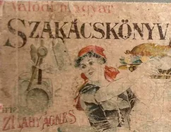 The origin and family of Kürtősh Kalách